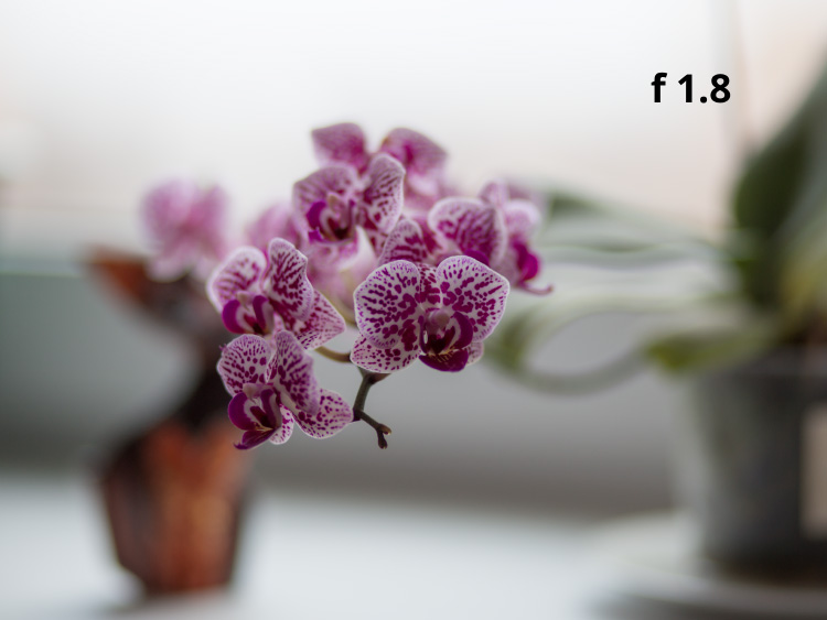 Глубина резкости f 1.8