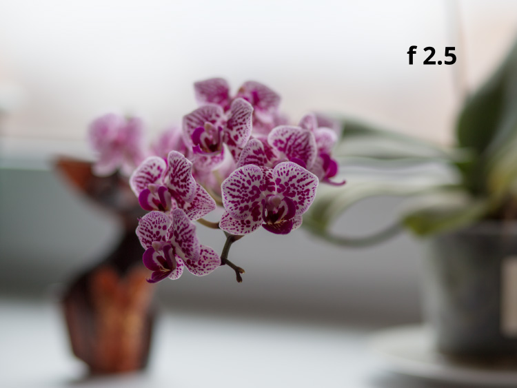Глубина резкости f 2.5