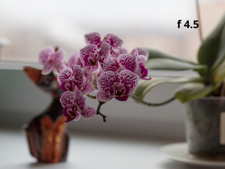 Глубина резкости f 4.5