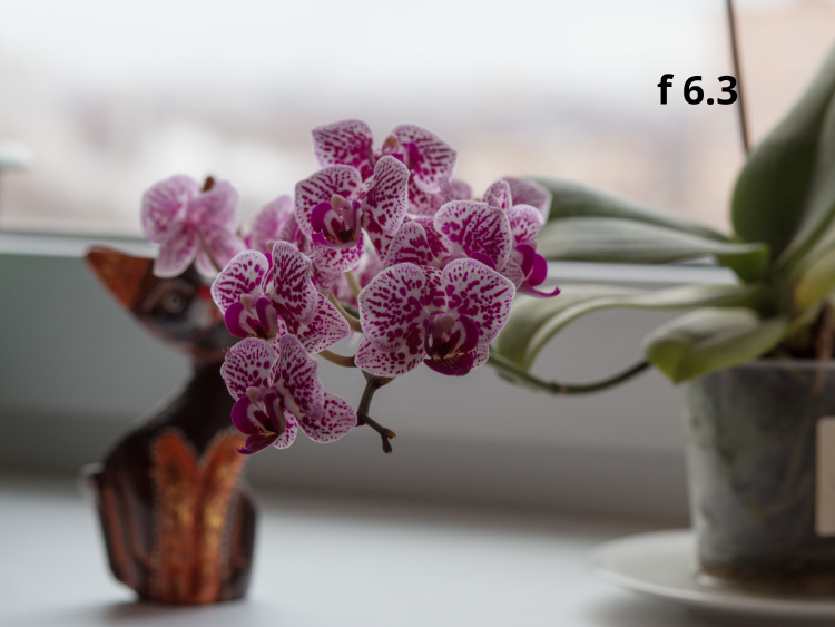 Глубина резкости f 6.3